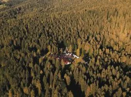 Forest Camp Val di Gresta