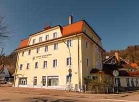 Die Sonne Nollingen，位于Nollingen的酒店