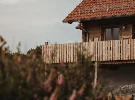 Oberwald Chalets Ferienhaus 3