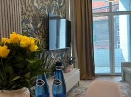 Apartament przy RYNKU，位于瓦乌布日赫的酒店