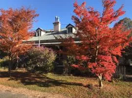 Larsens Cottage 1 - Historic 1880 Home