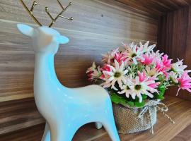 The viva patong condo C602，位于芭东海滩的酒店