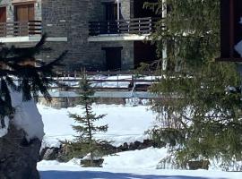 Chalet pareado para familias，位于福米加尔的酒店