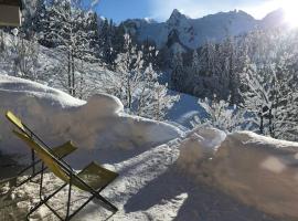 Le Nid du Farzy, au cœur des Aravis，位于大博尔南的酒店