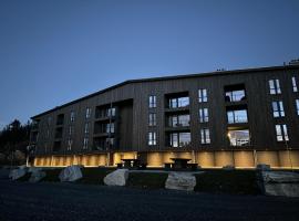 New apartment, Gausta in Rjukan. Ski in/ ski out，位于尤坎的自助式住宿