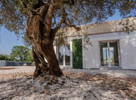 Chalet dimora tra gli ulivi，位于奥斯图尼的木屋