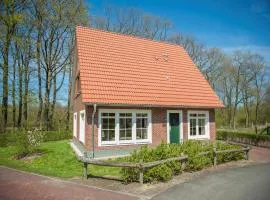 Restyled house with sauna, near Bad Bentheim