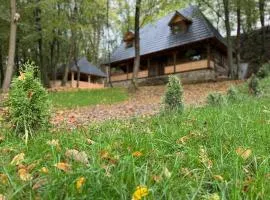 Căsuța de la vâltoare