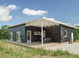 Three-Bedroom Holiday Home In Skals