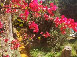 Cabañas Valle San Miguel，位于奇莱西托的酒店