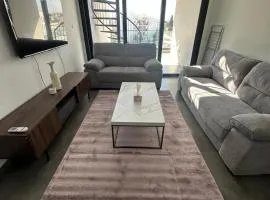 Luxurious two bedroom apartment with roof garden