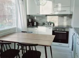 Apartment in the heart of Tampere - free parking - free wifi
