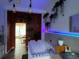 Appart bain à remous et jardin proche plage l Eden