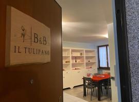 Il Tulipano alloggio turistico，位于皮亚琴察的酒店