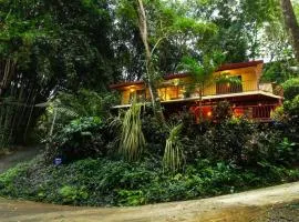Bali inspired Casa Cascada w Jungle views pool