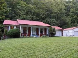 Buffalo Playhouse with game room