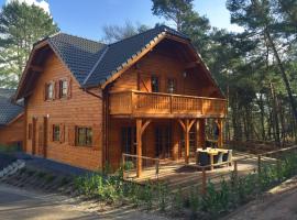 Wooden holiday home near Brunssummerheide，位于布林瑟姆的酒店