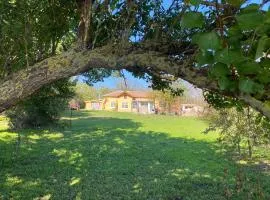 Ferienhaus Primorska Sunshine in Strandnähe