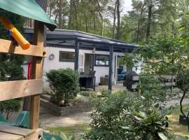 Knus Boschalet met veel Privacy op de Veluwe