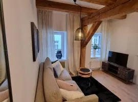 Apartament Centrum 5