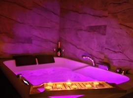 Centrum jacuzzi prywatny parking klimatyzacja 1，位于拉多姆的酒店