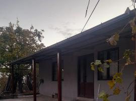 Guesthouse Dedoplistskaro，位于Dedoplis Tskaro的酒店