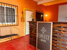 Firefly Hostel，位于Brisas de Zicatela的酒店