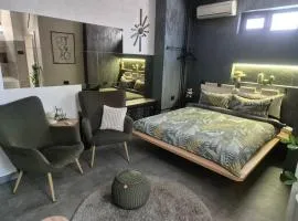 Biblioteka Spa Suite