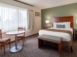 Best Western Buffalo Ridge Inn Near Mt Rushmore