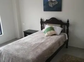 Modern-New Apartment