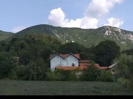 Smestaj Novakovic ,Zdrelo