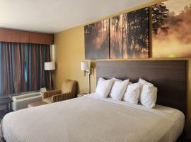 里斯维尔戴斯酒店，位于Leesville的酒店