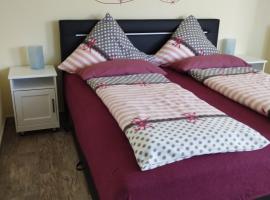 Ferienwohnung Saarwiesen，位于梅尔齐希的酒店