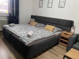 Černá Růže - Apartmán 4，位于比尔森的酒店