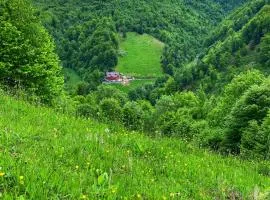 Pensiunea Valea Râsului