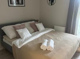 Apartament 9 Rydzyna，位于Rydzyna的酒店