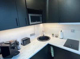 Puiestee apartment，位于瓦尔加的低价酒店