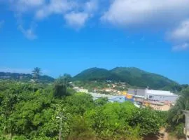 Fano's Tropical Oasis, Boise D'orange ST Lucia