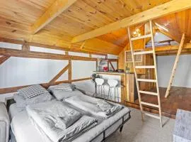 Sabina Mounteurwohnung Dachboden I 55 Zoll TV I Schlafcouch mit 20cm Matraze 2 weitere Schlafplätze I Küche I Bad