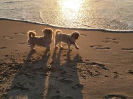 Sandy Nose Sandy Toes，位于科罗拉的酒店