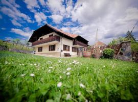 Farm Stay Žagar，位于莫济列的旅馆