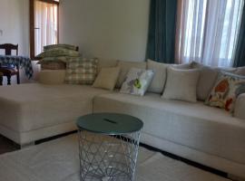 Studio Eva Vlasinsko Jezero，位于Vlasina Okruglica的酒店
