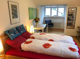 Guest room Zollikon Zürich，位于Zollikon的酒店