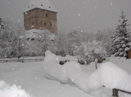Ferienhaus-Römerthurm，位于Schöder的酒店