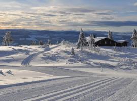 Løstegård Hytter，位于高尔Storefjellheisen 1附近的酒店