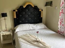 Lower Green castle，位于Knollis的酒店