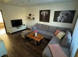 Milde's apartment near the city center - Hospodarska street