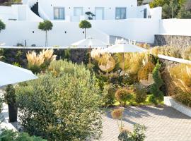 SN Santorini Apartments，位于卡马利的酒店