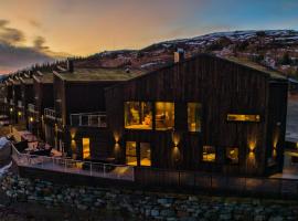 Trilodge - Unique cabin with high standard, views, ski in & out, attractive location，位于Mer&aring;ker的滑雪度假村