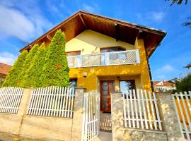 Boutique Casa Galbena，位于德瓦的酒店